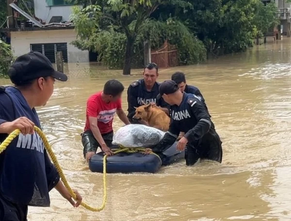In Mexico, 47 people died as a result of floods and landslides