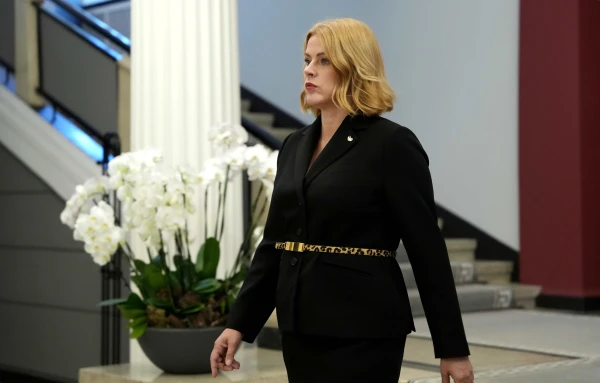 Silina on «some parties»: have they all done enough for our security