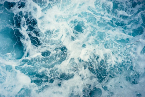 Scientists Warn of the Beginning of a Large-Scale Climate Catastrophe