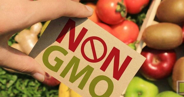 GMOs, gluten, and lactose are not as dangerous as commonly believed: a doctor«s opinion
