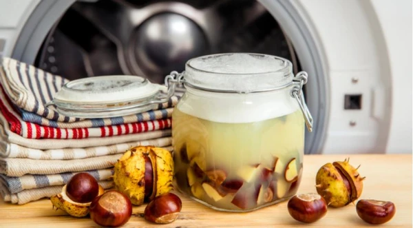 How to Make Eco-Friendly Soap from Chestnuts?