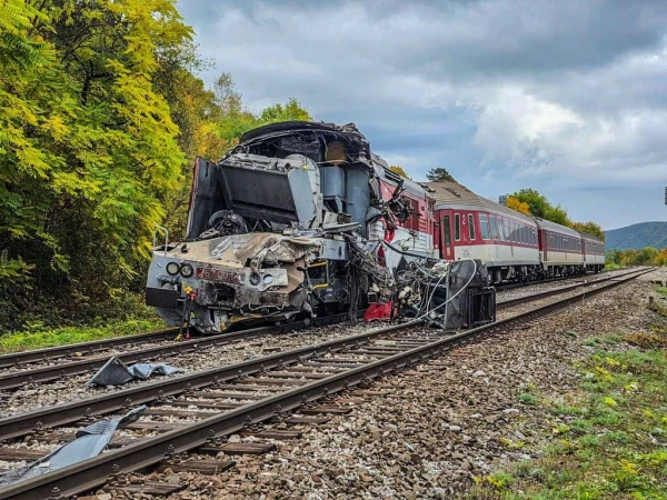 The reason for the head-on collision of trains, in which dozens were injured, has been named