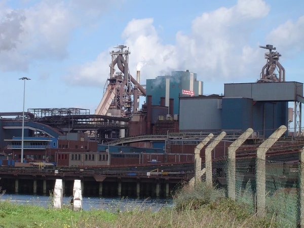 In the Saeima, they tried to understand how Latvia became an importer of Dutch pellets