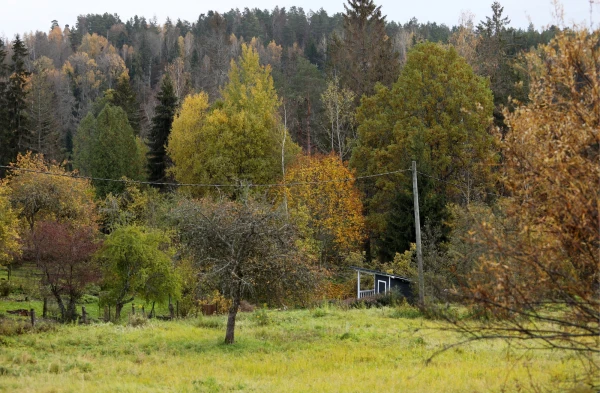 Rain is expected in most areas on Tuesday