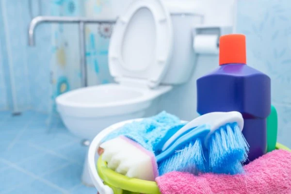 What to Consider When Choosing a Toilet?