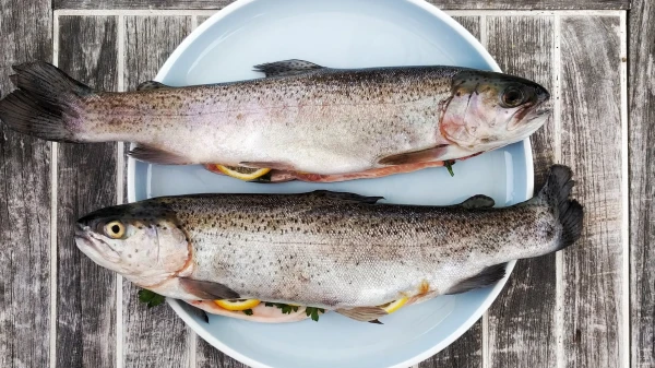 The Myth of Harmful Seafood Pollution Dispelled