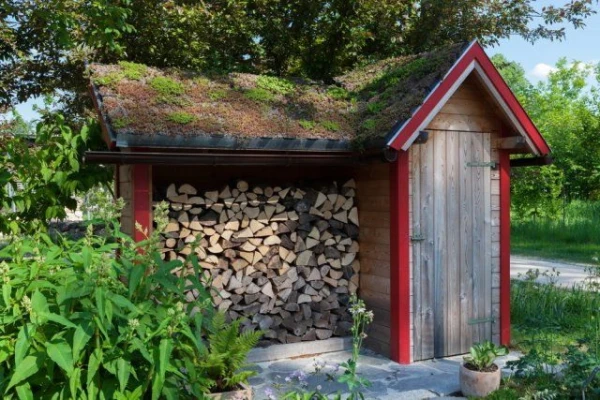 There is no road to my shed: the property turned out to be on someone else«s territory – what to do?