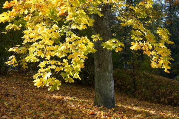 It’s hard to believe, but the weather will change by the weekend