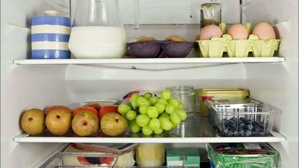 Which Products Can Be Eaten After Expiration Date — Without Harm to Health