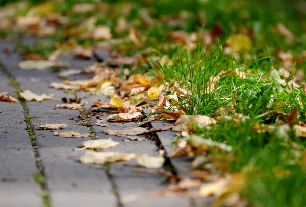 Rain is expected in most regions of Latvia on Thursday