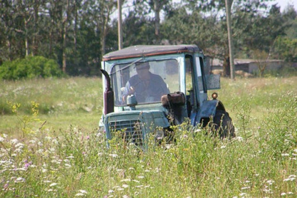 It has been estimated how much damage the bad weather has caused to Latvian farmers