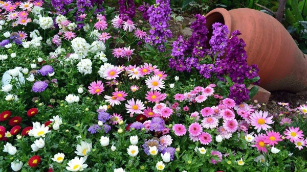 Which Flowers Should Not Be Cut in Autumn: Gardener Tips for Spring Blooming