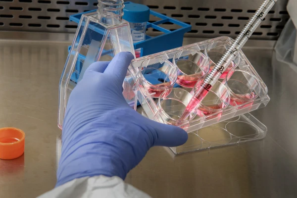 The Mechanism of Blood Cell Rejuvenation Identified