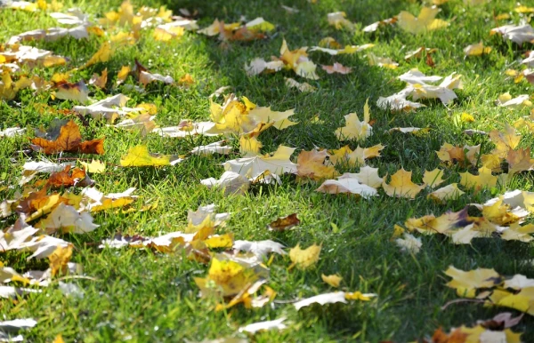 Folk Signs on October 18 — Haritina — the First Cloths
