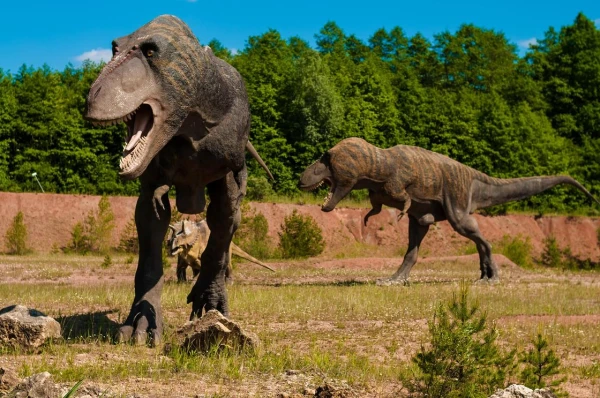 Dinosaur footprints left 166 million years ago found in a limestone quarry