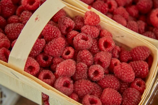 The Popular Berry Proves to Be a Protector of Blood Vessels Against Inflammation