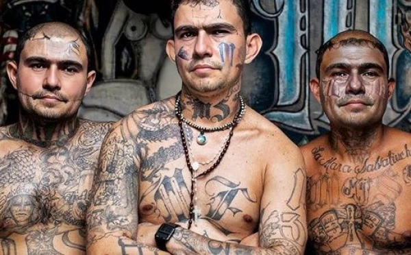 Organized Crime in Brazil is Growing, Affecting 28.5 Million People