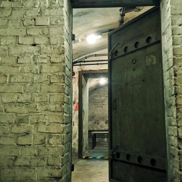 Bomb Shelters: First Officials, Then Residents. Dogs and Cats - Outside