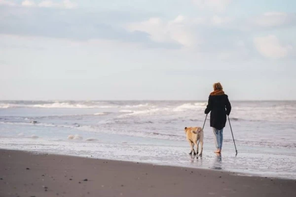 The Simplest Ways to Reduce Pain from Osteoarthritis Have Been Identified