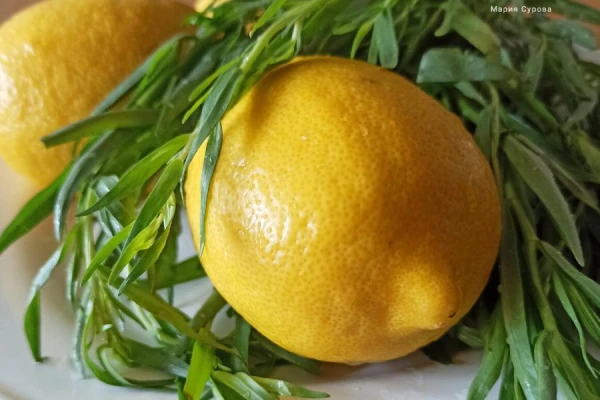 Can you grow a lemon tree from a seed at home?