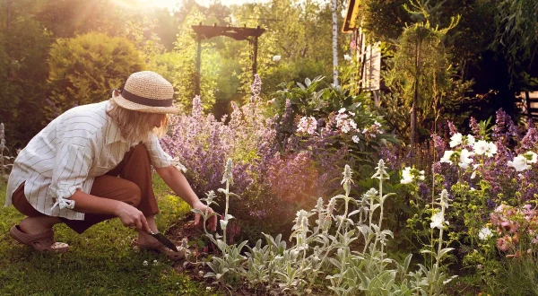Gardening Reduces the Risk of Chronic Diseases: Here’s the Connection