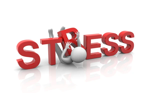 Stress as a Challenge: How Flexibility Turns Difficulties into Strength