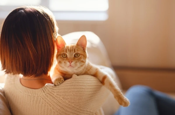 «She Saved Me»: How a Cat Helped a Journalist Find a Dangerous Disease