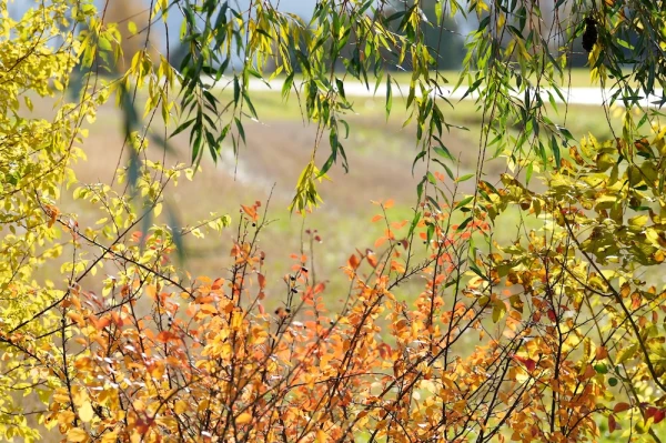 Tuesday will bring sunny weather. But will it be warm?