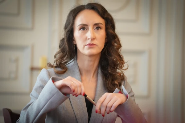 The term 'social gender' is simply mistranslated in the Istanbul Convention - Ombudsman