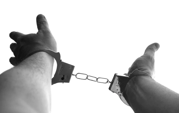 TikTok 'hero' detained for insulting ticket inspector on Riga bus