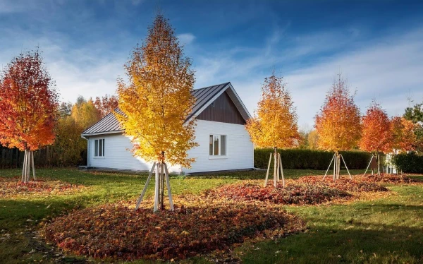 Autumn Chores: 5 Tasks to Complete at the Dacha Before December