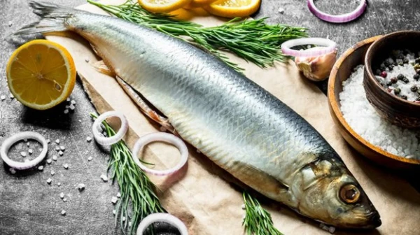 Color, Firmness, and Brine: How to Properly Choose Fish in a Store or Market