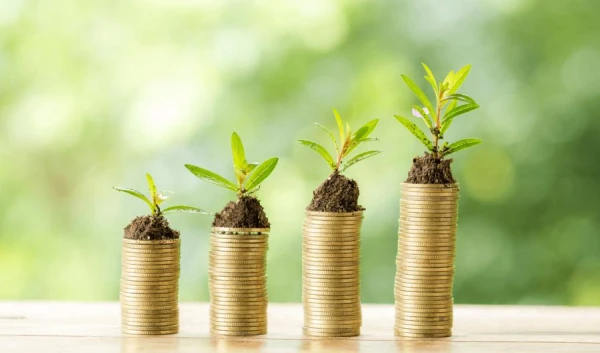 The Annual Meeting of the Government and Foreign Investors Will Take Place