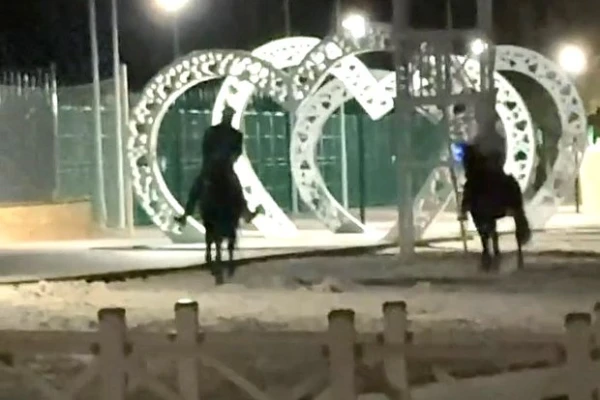 Masked Riders Attacked Pensioners