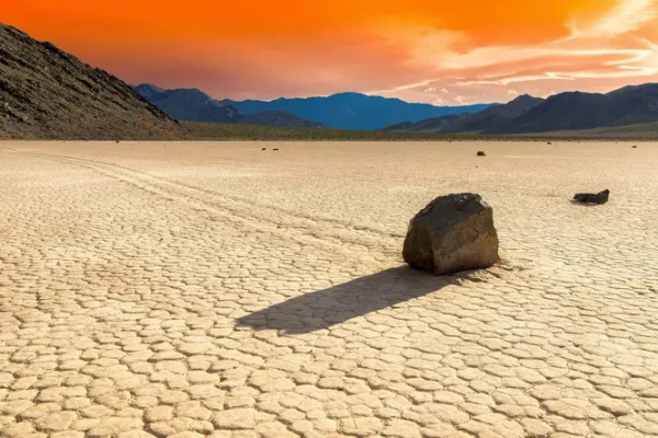 When the Desert Comes Alive: What Makes the Stones Move in Death Valley