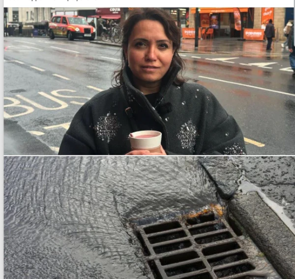 "Absurd!" A Woman in Europe Poured Coffee into a Drain and Received a Large Fine