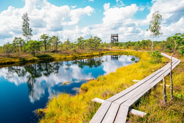 Kemeri Marshes: Residents of Latvia Have a Chance to Touch Nature Without Getting Their Feet Wet