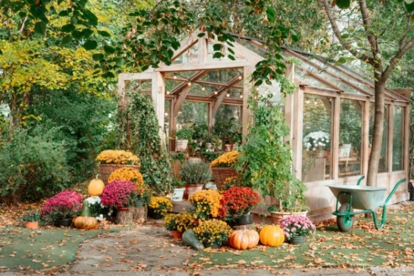 How to Properly Prepare a Greenhouse for Winter: Agronomist's Tips