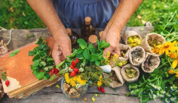 82% of Herbal Medicine Books on Amazon Likely Generated by AI