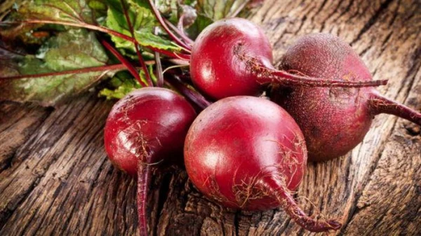 How to Choose and Store Beets for a Tender Vinaigrette and Rich Borscht