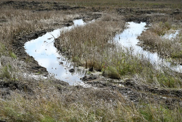 Heavy summer rains cost the state 91 thousand euros