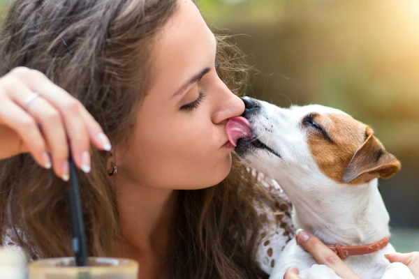 What mistakes do dog owners most often make?