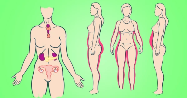 How to Determine Hormonal Imbalance by Body Type: Learn About Your Body