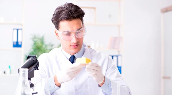 Scientists Found Microplastics in Almost All Types of Cheese — Here Are the Safer Ones