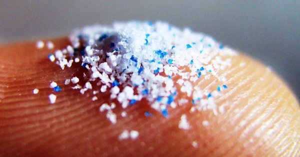 Global Food Supplies Are Under Threat. Who Is to Blame?