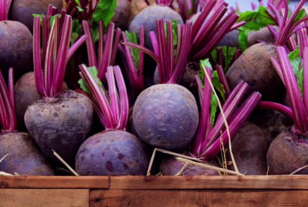 Simple Rules for Storing Potatoes, Carrots, and Beets in Winter