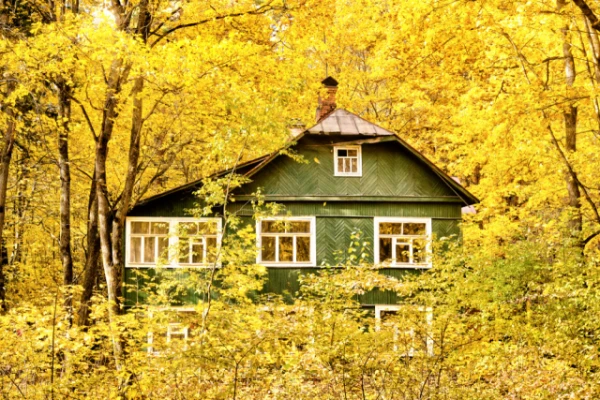 12 reasons to leave the garden unkempt for winter