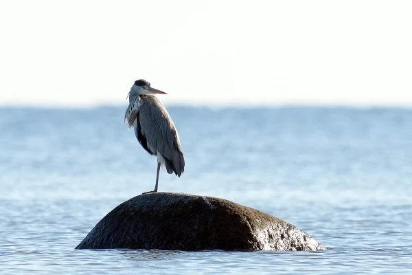 During the day, the sun will warm the air to +11 degrees