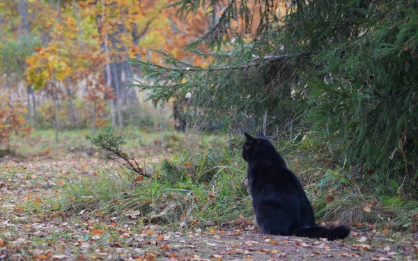 November will surprise: forecasters promise rare weather for this time