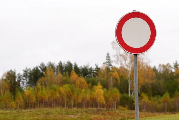 The Government of Lithuania Has Closed the Border with Belarus for a Month, with Exceptions